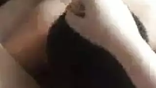 خنزير ينيك صاحبته