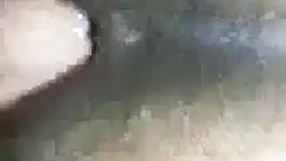 مستشفى قفازات مخنث